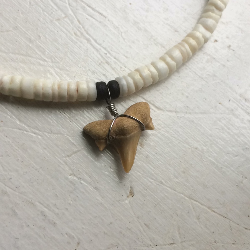 shark tooth necklace - Picture 2 of 3